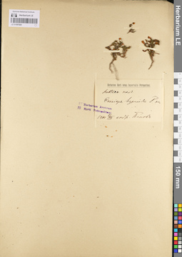LE 01097820