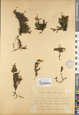LE 01097821