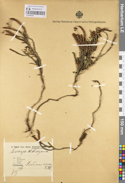 LE 01097835
