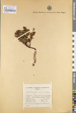 LE 01097861