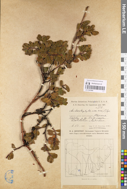 LE 01097868