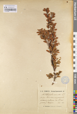 LE 01097880