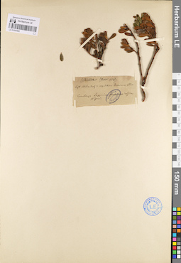 LE 01097882