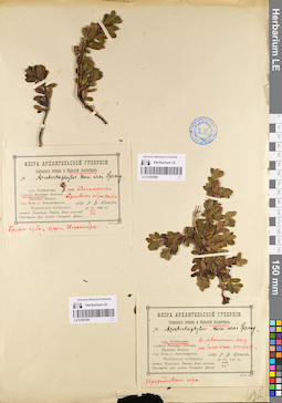 LE 01097896