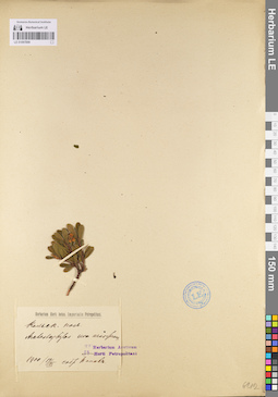 LE 01097898