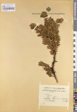 LE 01097903