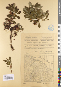 LE 01097934