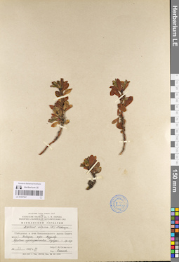 LE 01097947