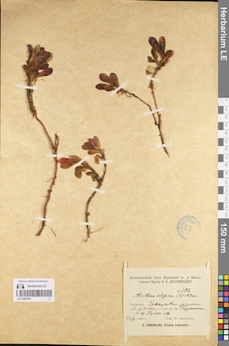 LE 01097952