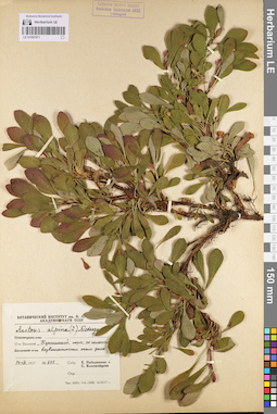 LE 01097971