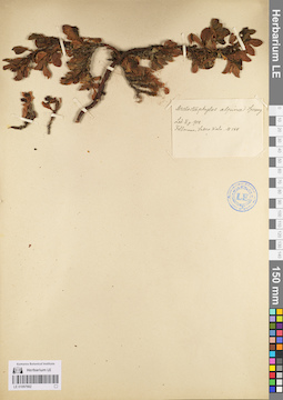 LE 01097982