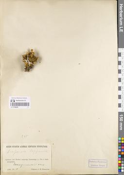 LE 01098648