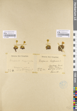 LE 01098697
