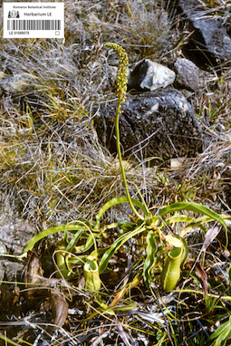 LE 01089078