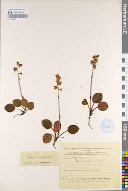 LE 01096888
