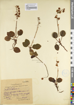 LE 01096893
