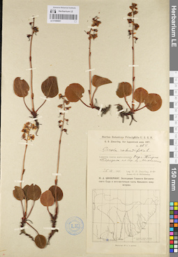 LE 01096901