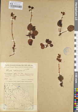 LE 01096907
