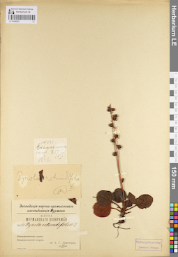 LE 01096923