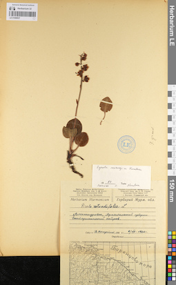 LE 01096937