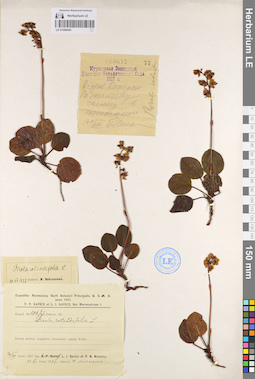 LE 01096945