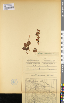 LE 01096948