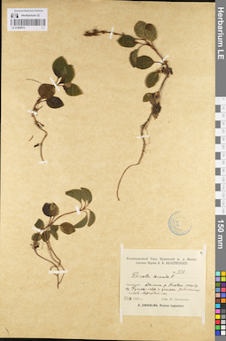 LE 01096973