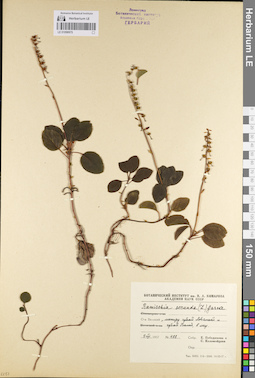 LE 01096975