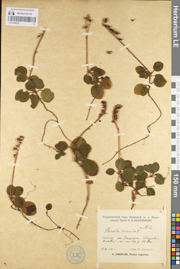 LE 01096979