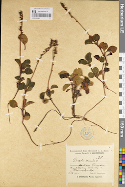 LE 01096983