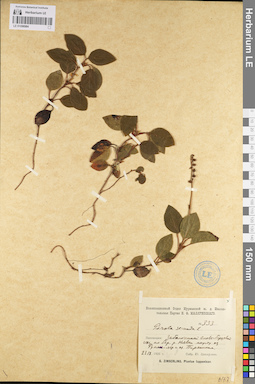 LE 01096984