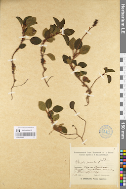 LE 01096985