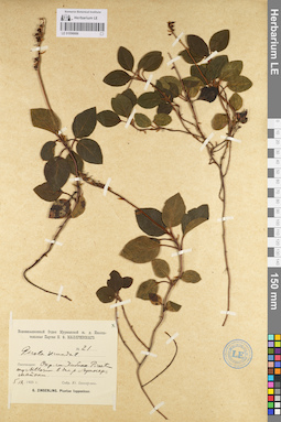 LE 01096986