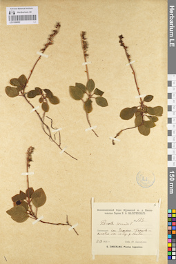 LE 01096992