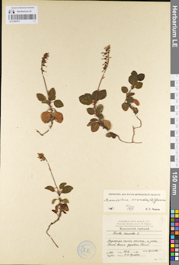 LE 01097017