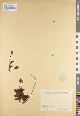 LE 01097025