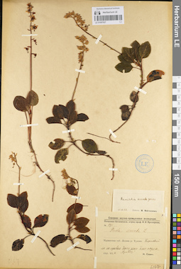 LE 01097027