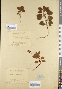 LE 01097028
