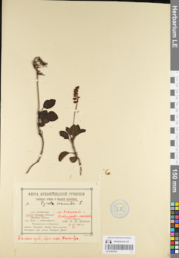 LE 01097038