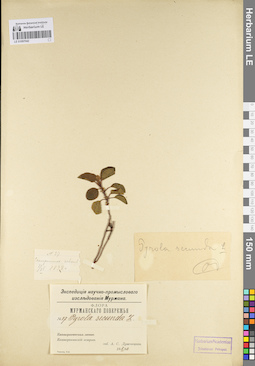 LE 01097042