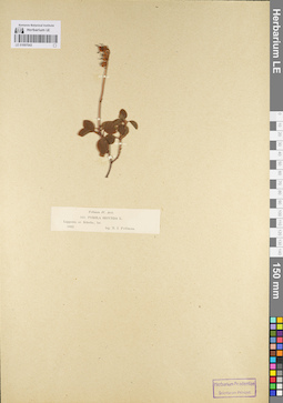 LE 01097043
