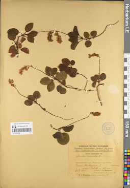 LE 01097047
