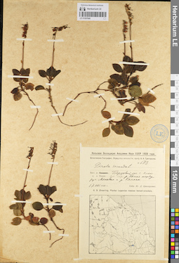 LE 01097048