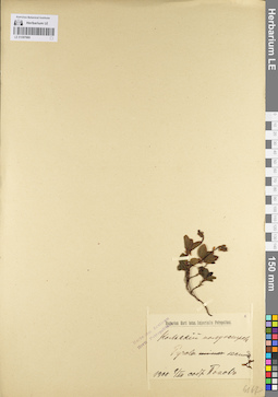 LE 01097060