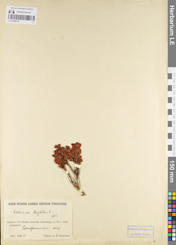 LE 01098178