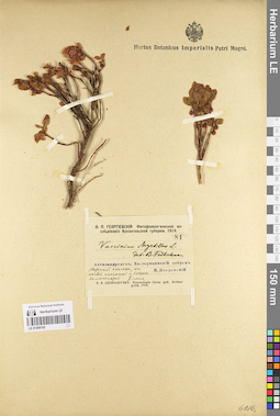 LE 01098192