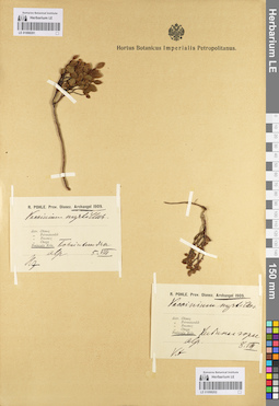 LE 01098201