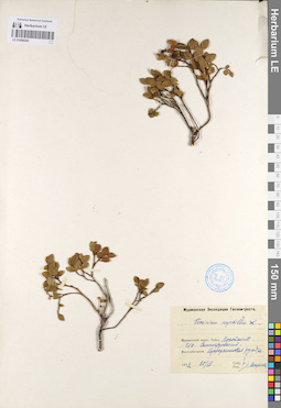 LE 01098209