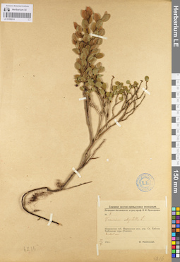 LE 01098214