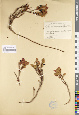 LE 01098222